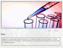 Tablet Screenshot of aggamin.com
